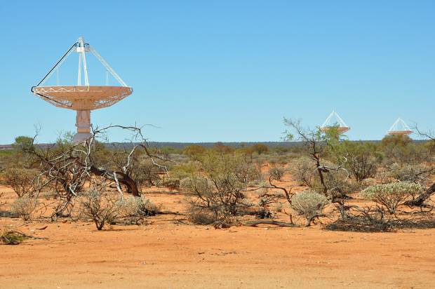 The Square Kilometre Array is a "space-breaking" international science project, notable for both the scale of the project and the challenges it is required to overcome. Picture / AAP