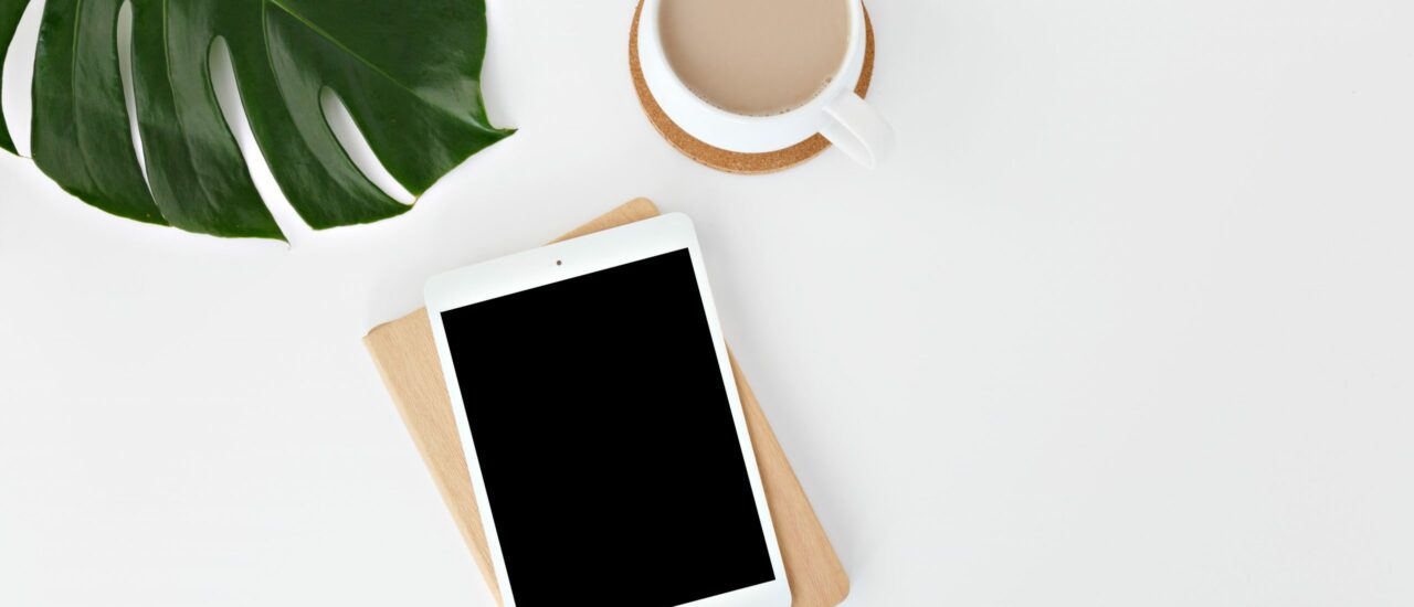 leone-venter-pVt9j3iWtPM-unsplash